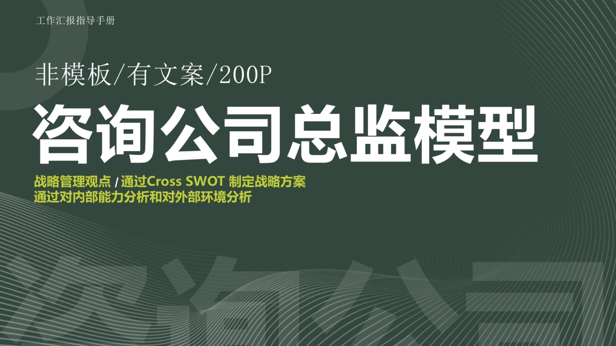 咨询公司总监PPT模型_第1页