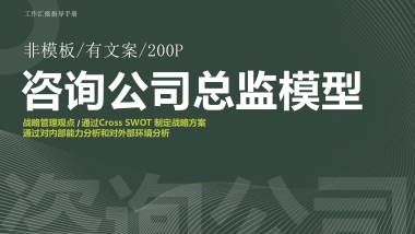 咨询公司总监PPT模型