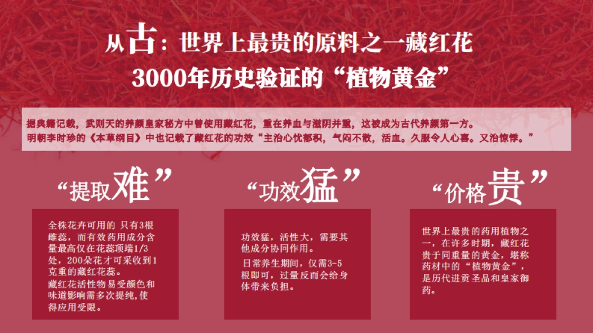 玉容初品牌档案_第10页