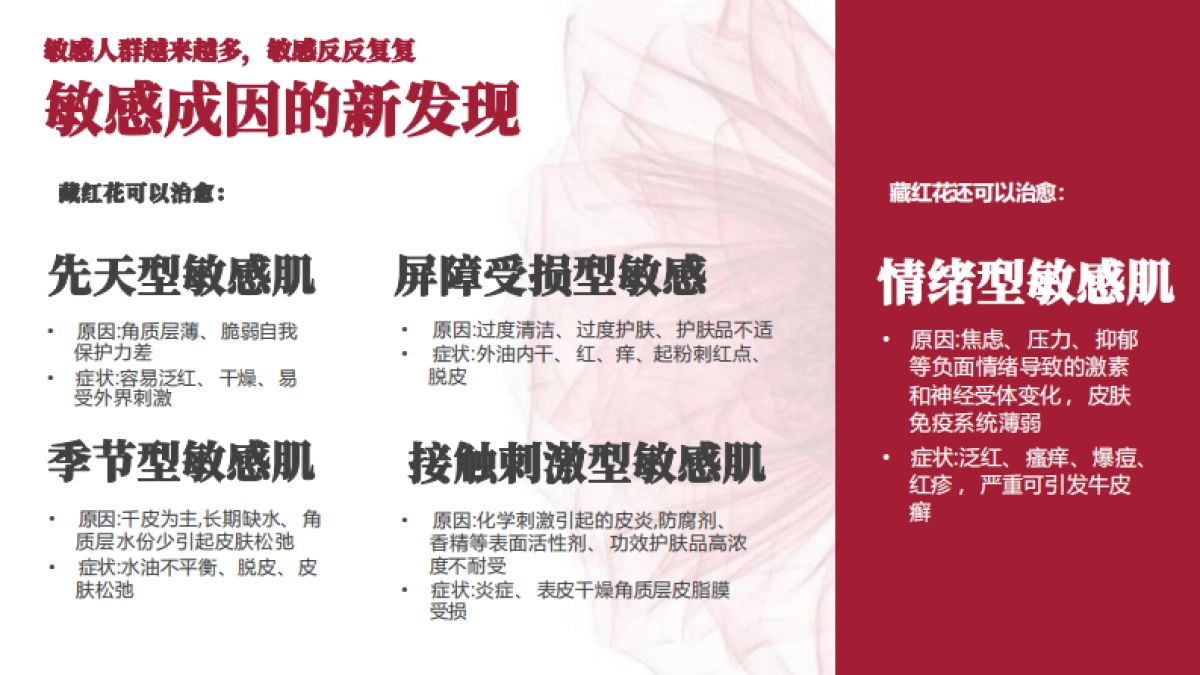 玉容初品牌档案_第5页