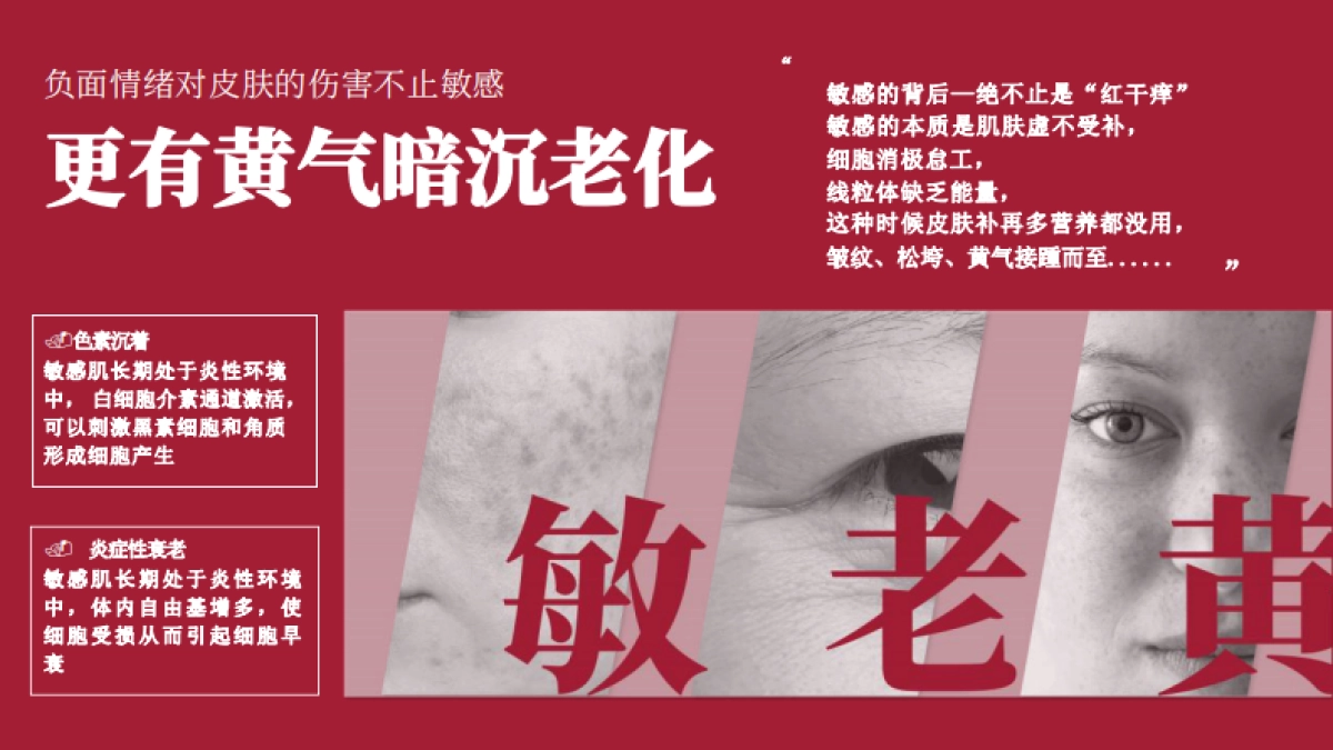 玉容初品牌档案_第7页