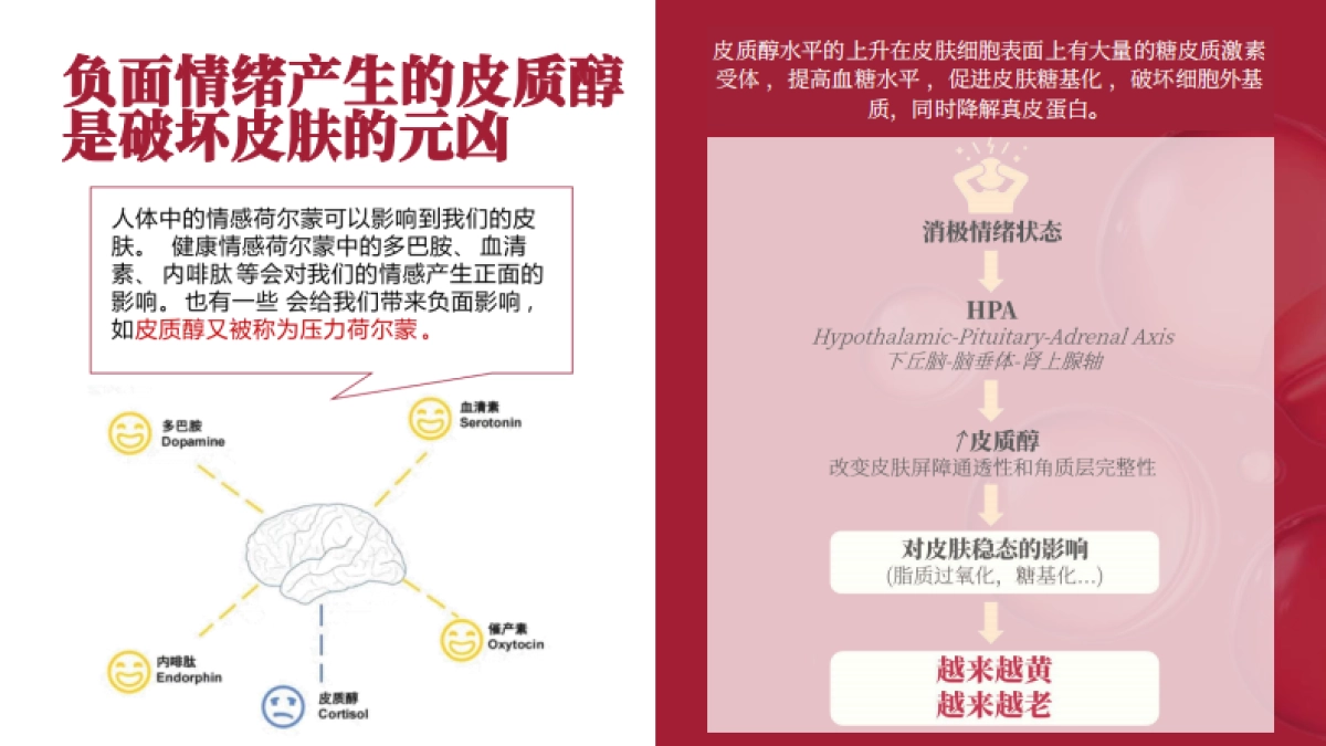 玉容初品牌档案_第8页