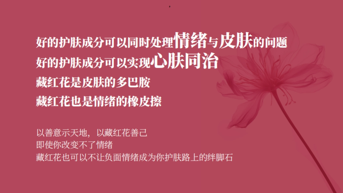 玉容初品牌档案_第9页