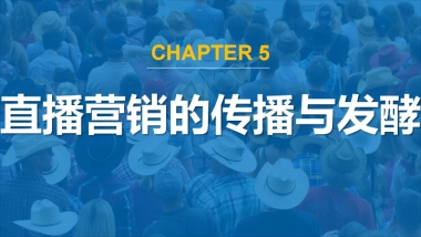 直播营销的传播与发酵