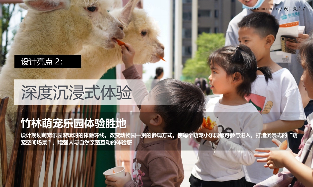 2024蜀南竹海萌宠乐园定位规划设计景观方案_第10页