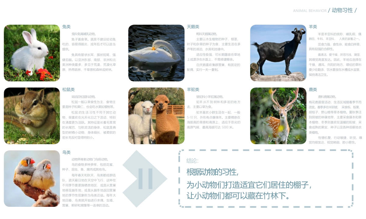 2024蜀南竹海萌宠乐园定位规划设计景观方案_第5页