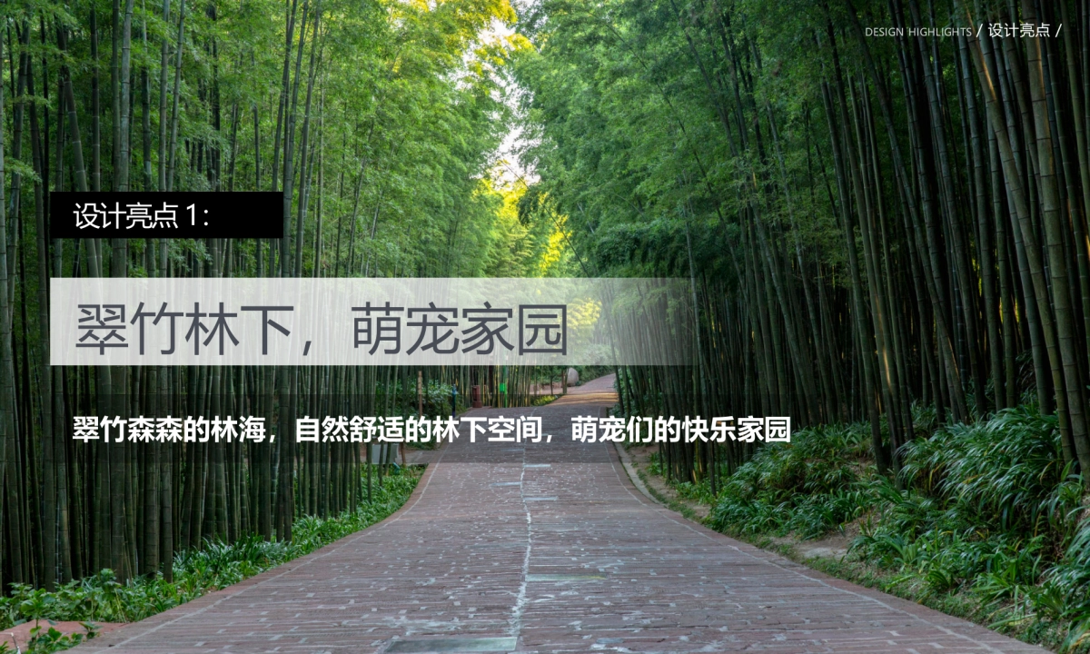 2024蜀南竹海萌宠乐园定位规划设计景观方案_第9页