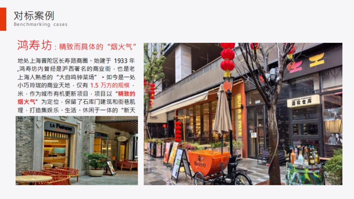 非标商业街区VI及项目定位策略规划案_第4页