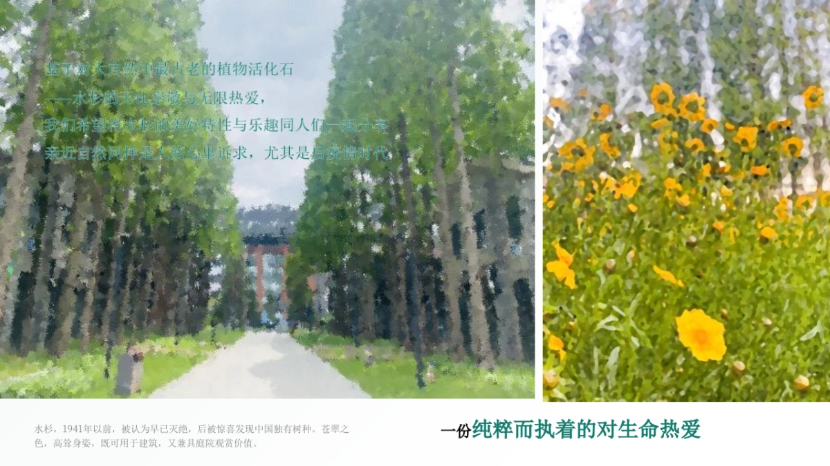 端午主题户外轰趴汇「当“树”玉到“艾”主题」活动策划方案_第3页