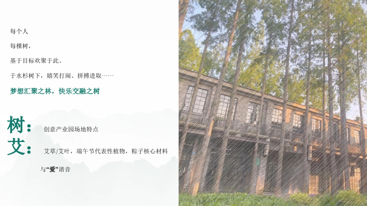 端午主题户外轰趴汇「当“树”玉到“艾”主题」活动策划方案_第5页