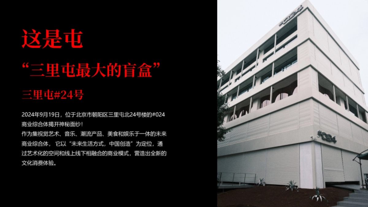 快手村SHOW招商方案_第3页