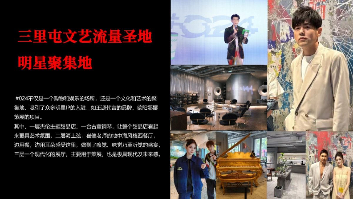 快手村SHOW招商方案_第4页