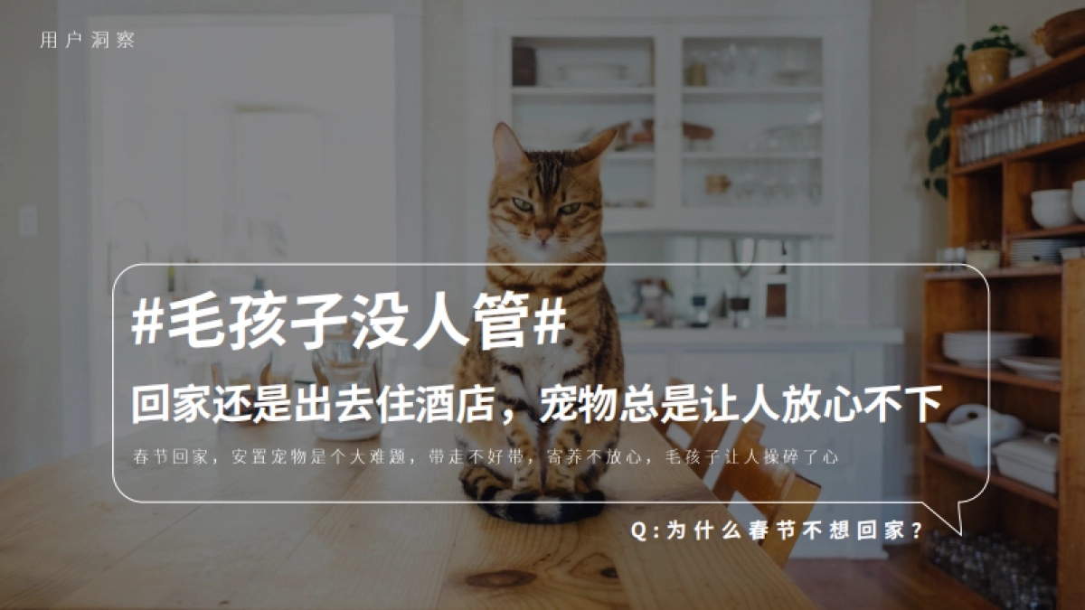 途家网民宿预定平台春节事件营销传播策划方案_第8页