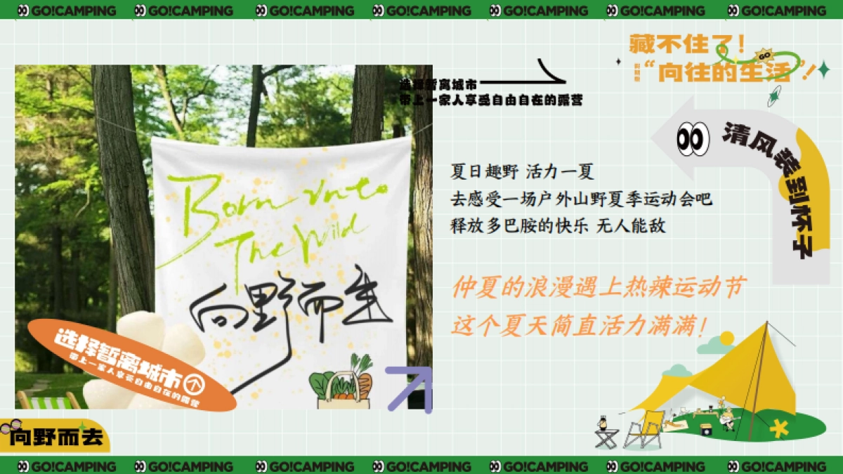 文旅景区初夏露营节「仲夏限定逃离城市计划主题」活动策划方案_第5页