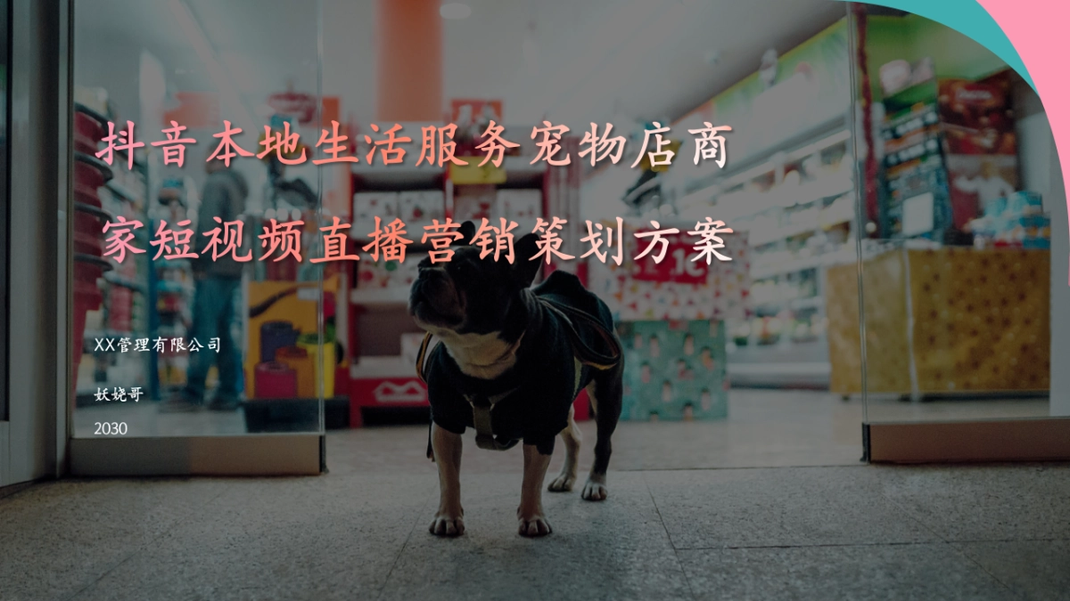 抖音本地生活服务宠物店商家短视频直播营销策划方案_第1页