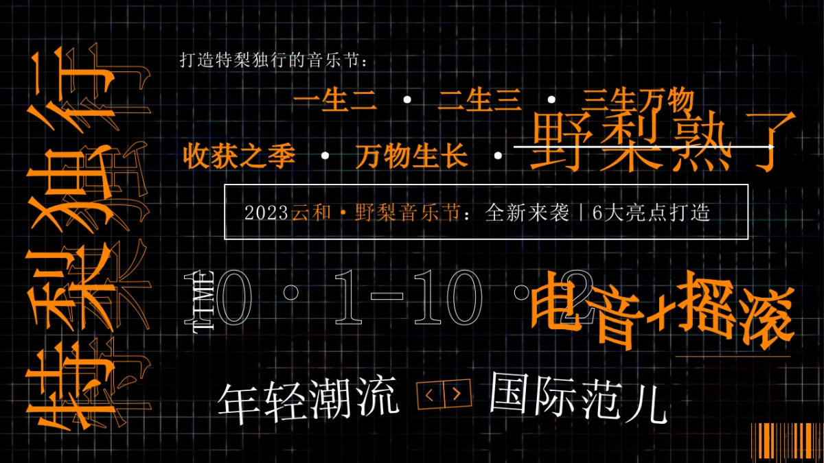 文旅景区音乐节系列「特梨独行主题」活动策划方案_第8页