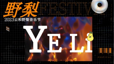 文旅景区音乐节系列「特梨独行主题」活动策划方案