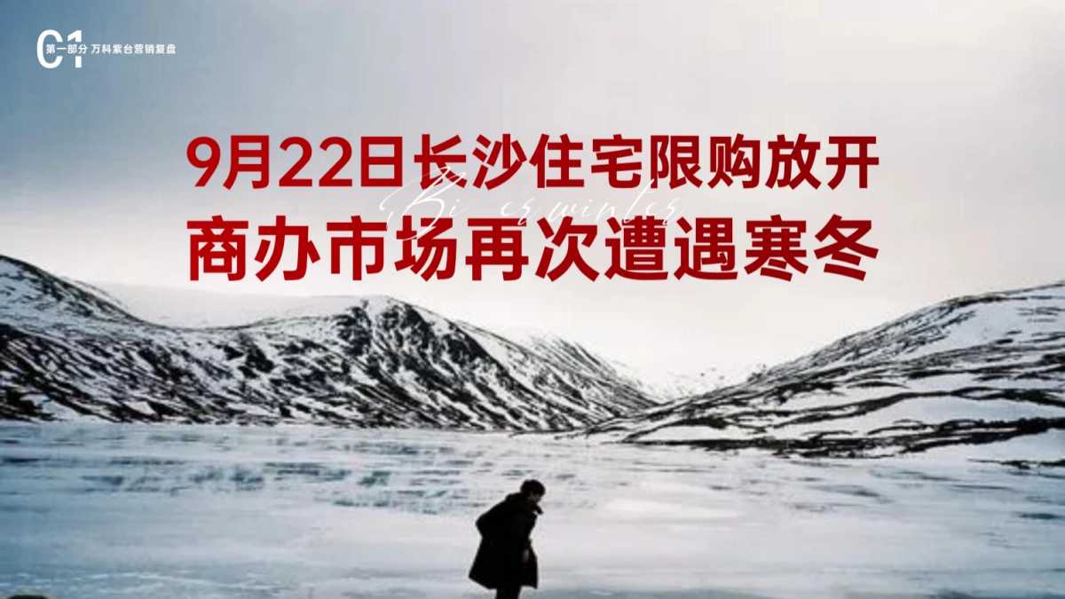 长沙三合-万科紫台地产项目营销复盘_第3页