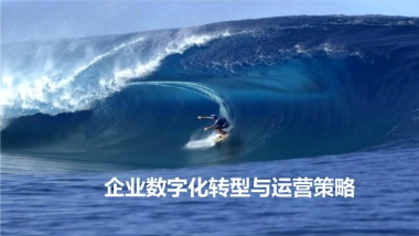 企业数字化转型与运营策略（119页）