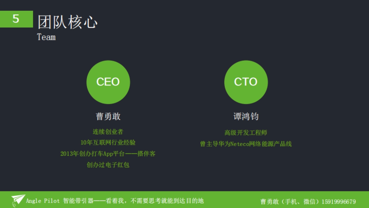 Angle Pilot 带引器融资商业计划书_第8页