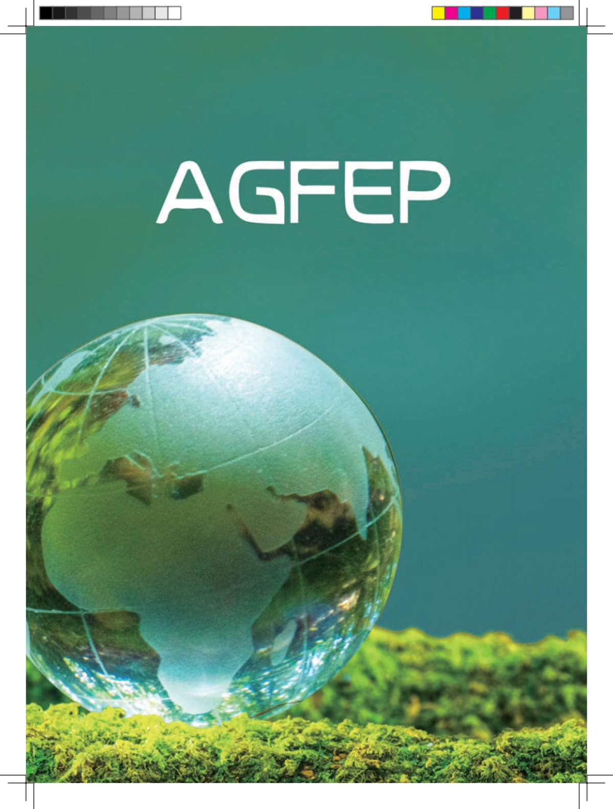 2025中国与全球食物政策报告_第3页