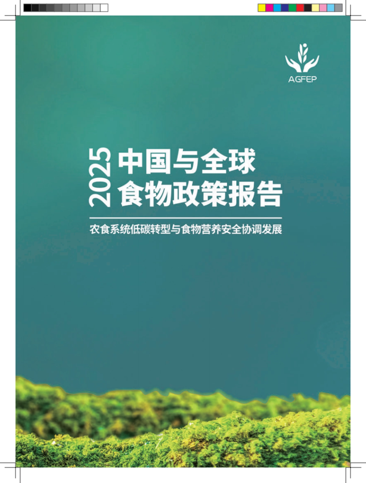 2025中国与全球食物政策报告_第4页