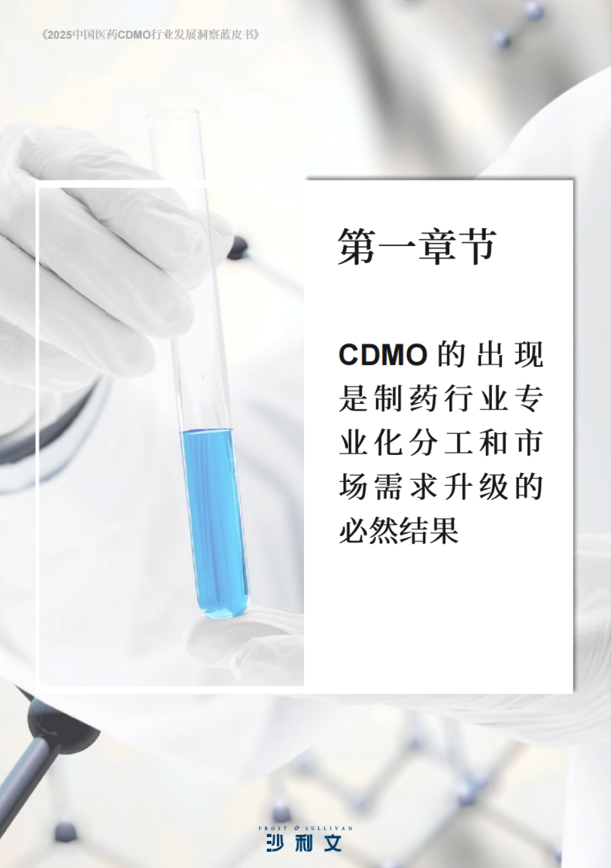 2025中国医药CDMO行业发展洞察蓝皮书_第5页