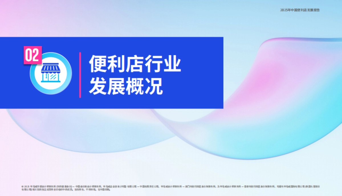 2025年中国便利店发展报告_第10页