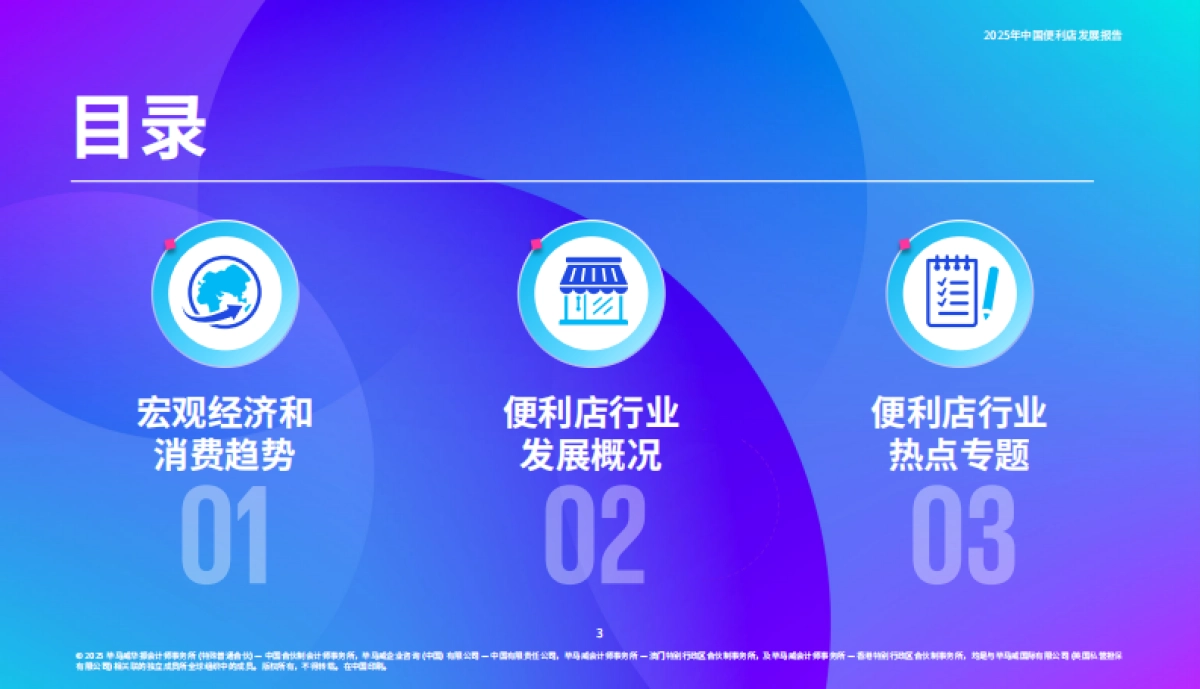 2025年中国便利店发展报告_第4页