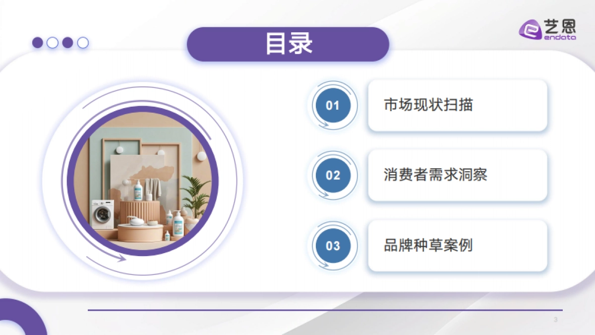 2025年衣物洗护市场消费趋势报告_第3页