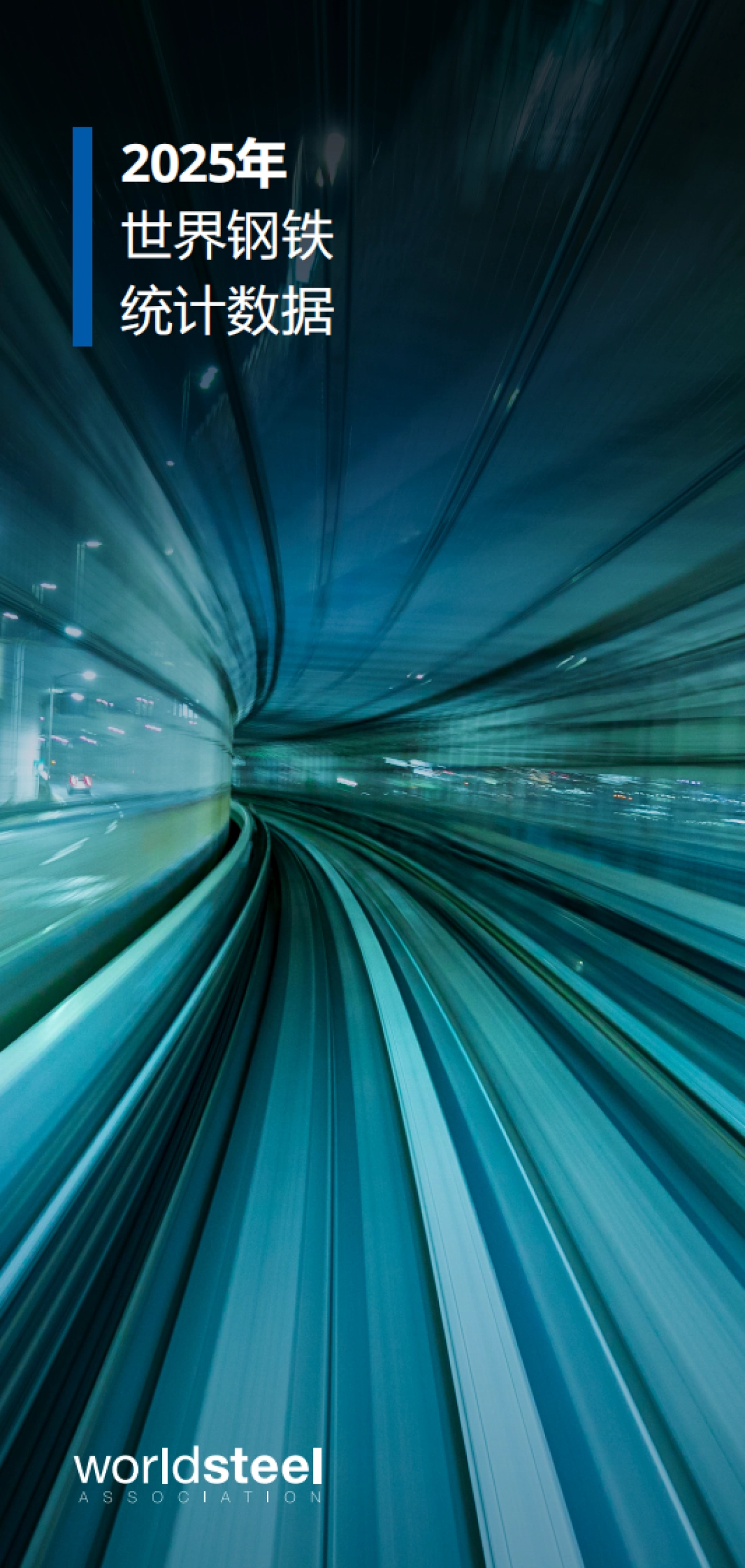 2025年世界钢铁统计数据报告-世界钢铁协会_第1页