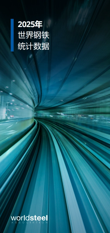2025年世界钢铁统计数据报告-世界钢铁协会