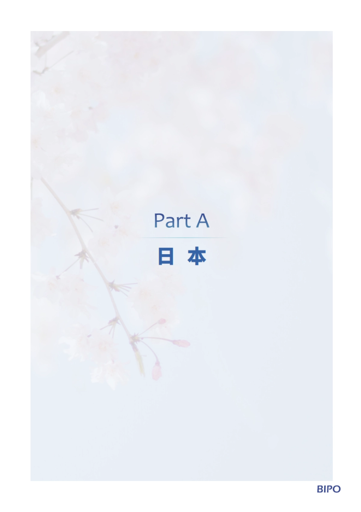 2025年日韩出海手册-BIPO_第6页