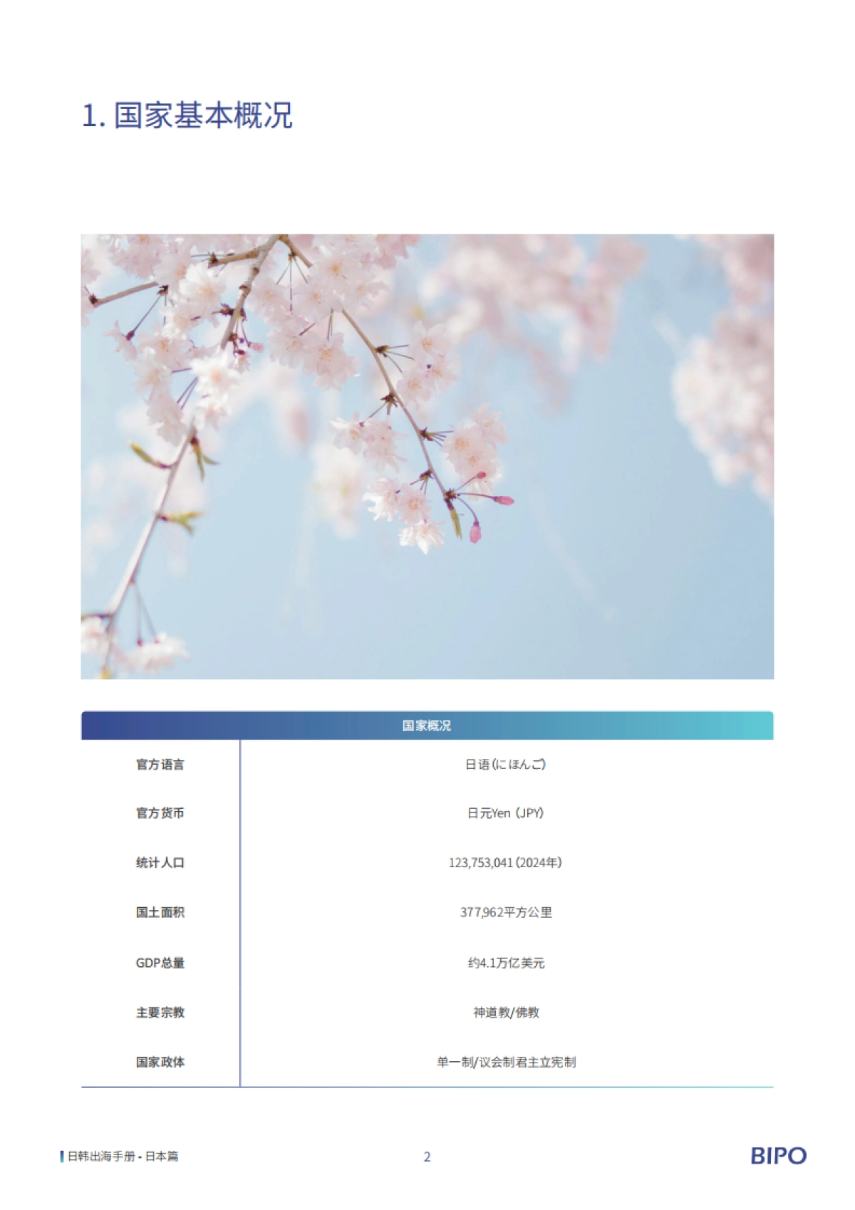 2025年日韩出海手册-BIPO_第7页