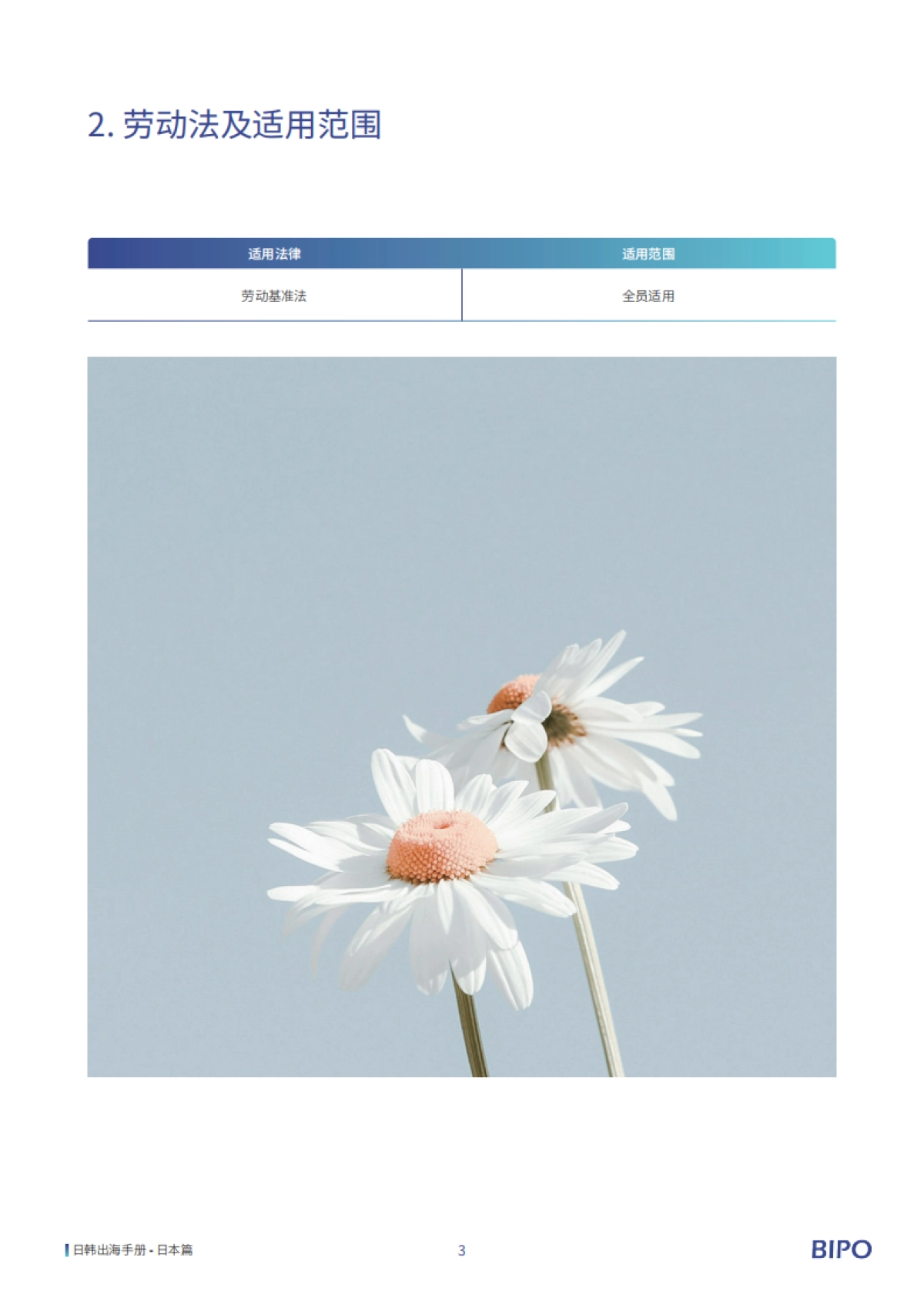 2025年日韩出海手册-BIPO_第8页