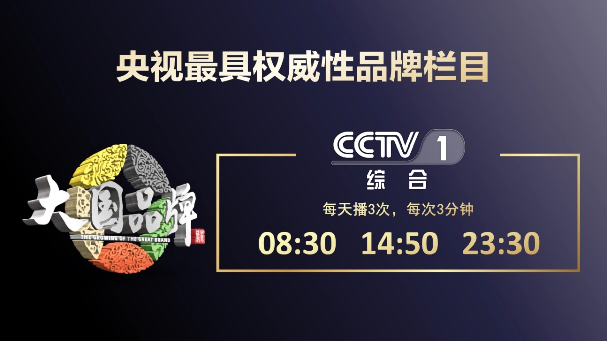CCTV《大国品牌》价值·文化·形象_第2页