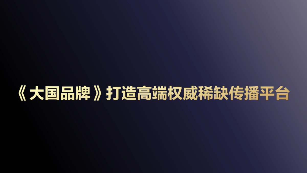 CCTV《大国品牌》价值·文化·形象_第3页