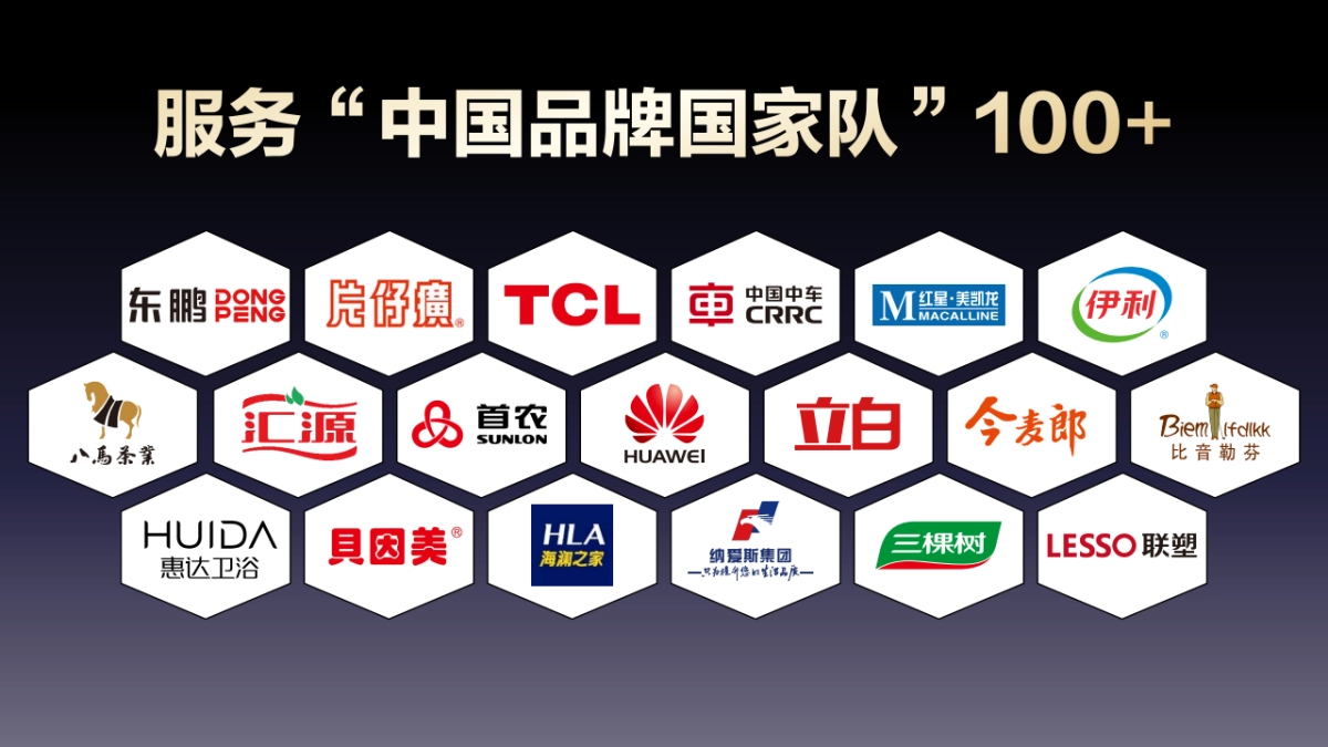 CCTV《大国品牌》价值·文化·形象_第5页