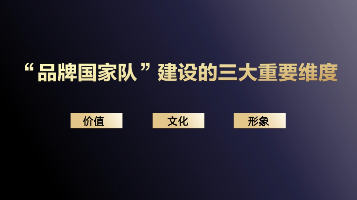 CCTV《大国品牌》价值·文化·形象_第7页