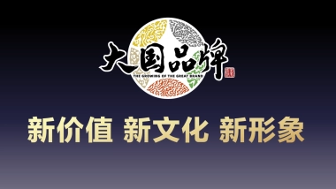CCTV《大国品牌》价值·文化·形象