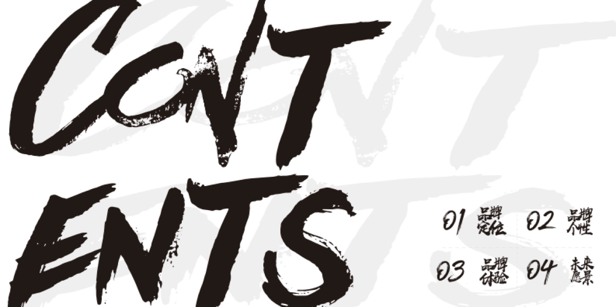 ZMAX品牌宣传画册_第2页