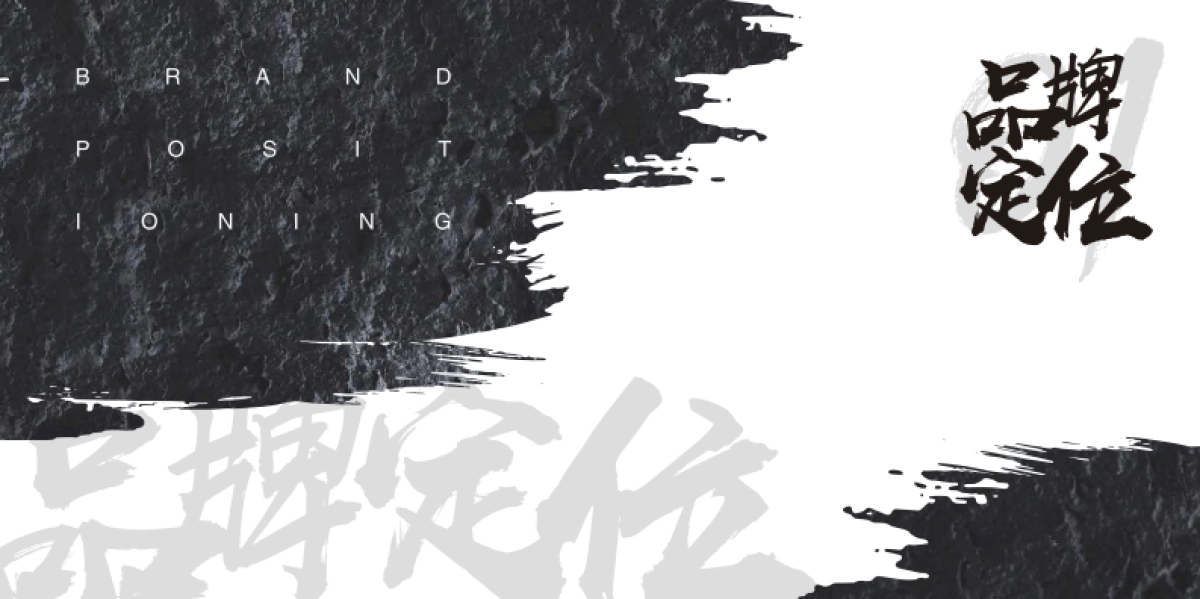 ZMAX品牌宣传画册_第3页