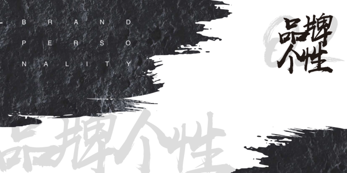 ZMAX品牌宣传画册_第5页