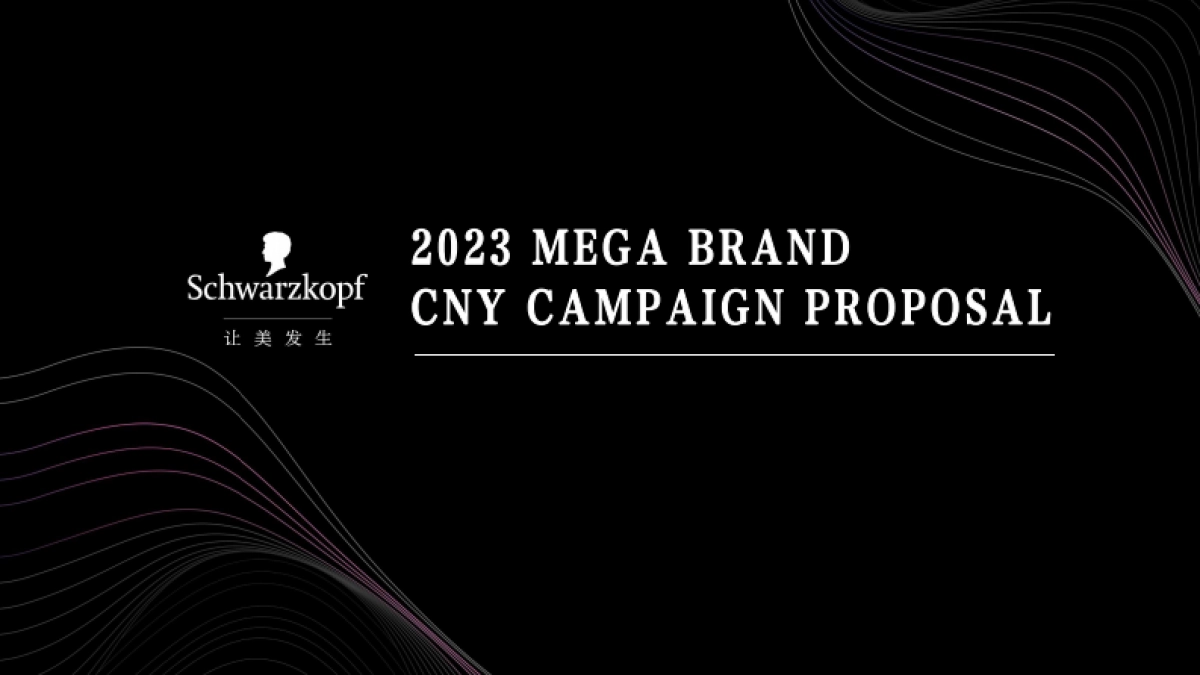 施华蔻如何让美发生_第1页