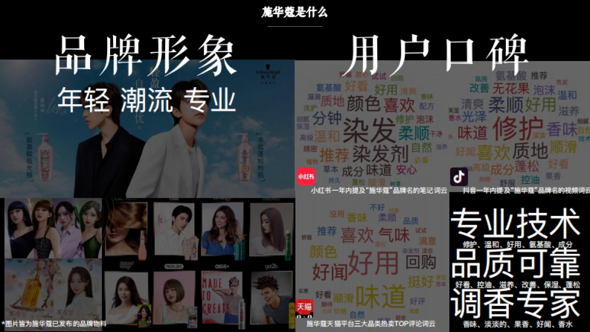 施华蔻如何让美发生_第4页