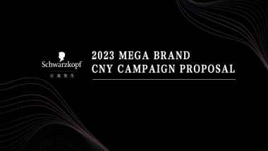 施华蔻如何让美发生