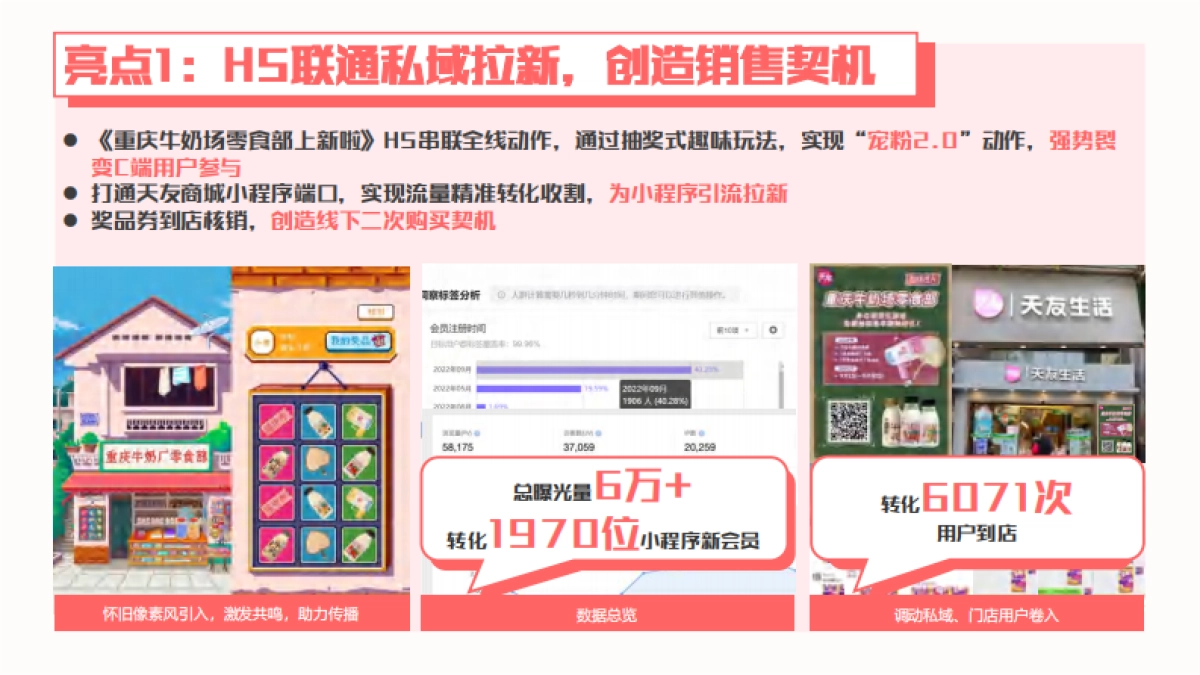 天友风味奶经典怀旧营销_第5页