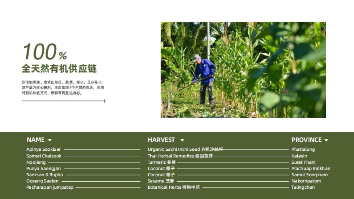 sudtana品牌手册_第10页