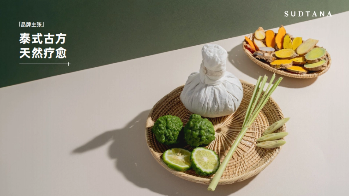 sudtana品牌手册_第3页