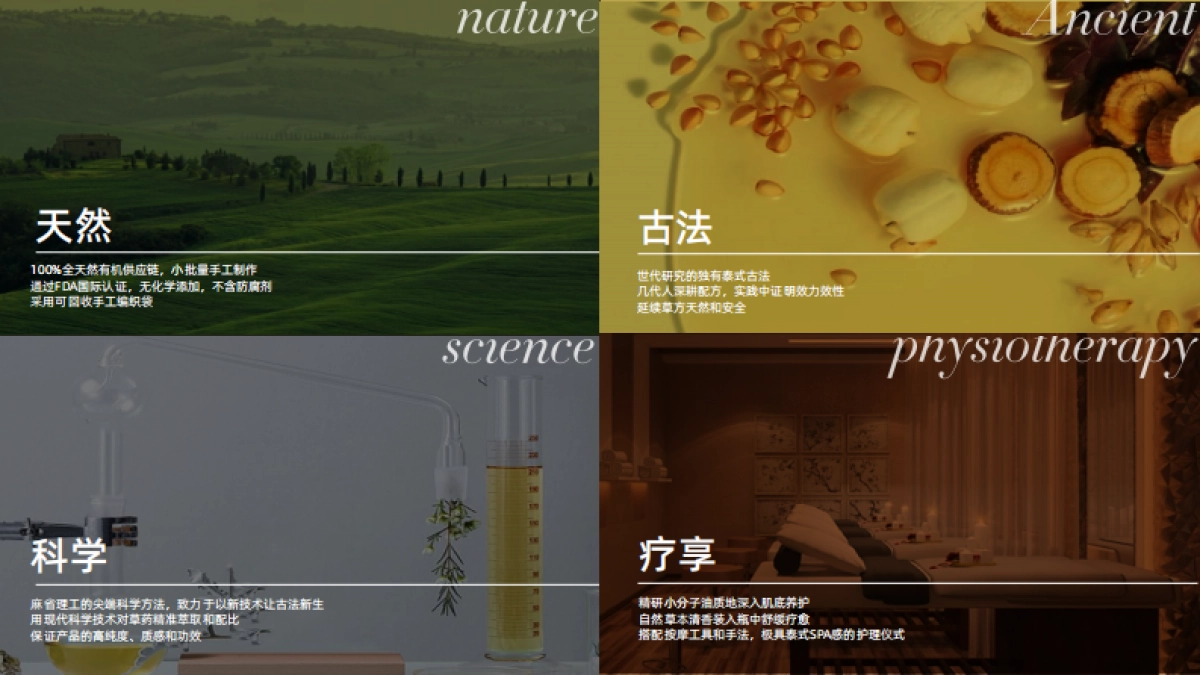 sudtana品牌手册_第6页